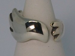 Bird ring