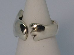 Bird ring